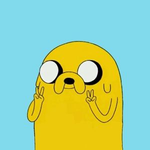 Meet your Posher, Carolina